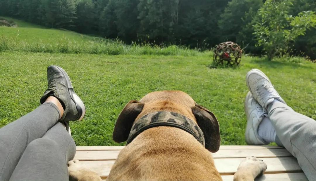 Seminar- Und Erlebnishof Das Schwarze Schaf Bad Gams Buitenkant foto
