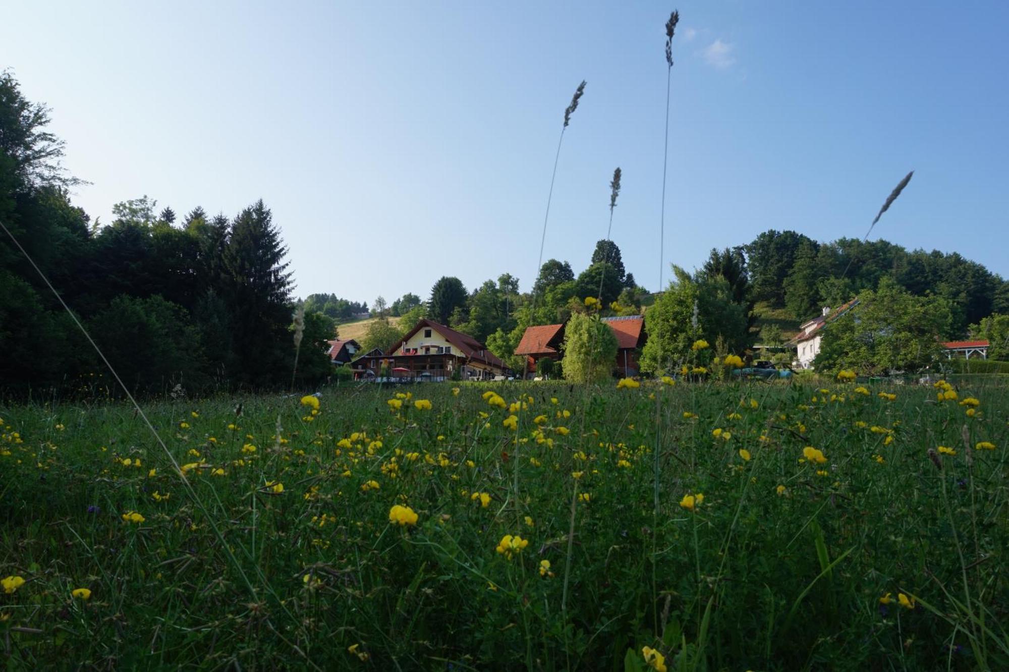 Seminar- Und Erlebnishof Das Schwarze Schaf Bad Gams Buitenkant foto